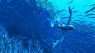 Динамичный подводный экшен Glaciered расскажет о Земле далёкого будущего