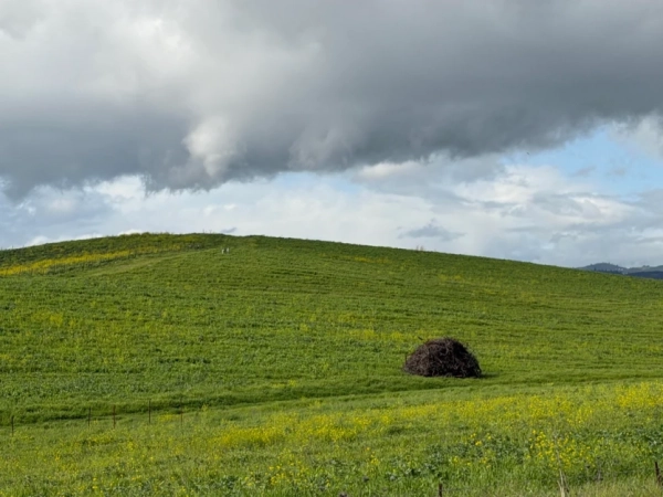 Фотограф "зловив" культову заставку Windows XP 1996 року в реальності 2