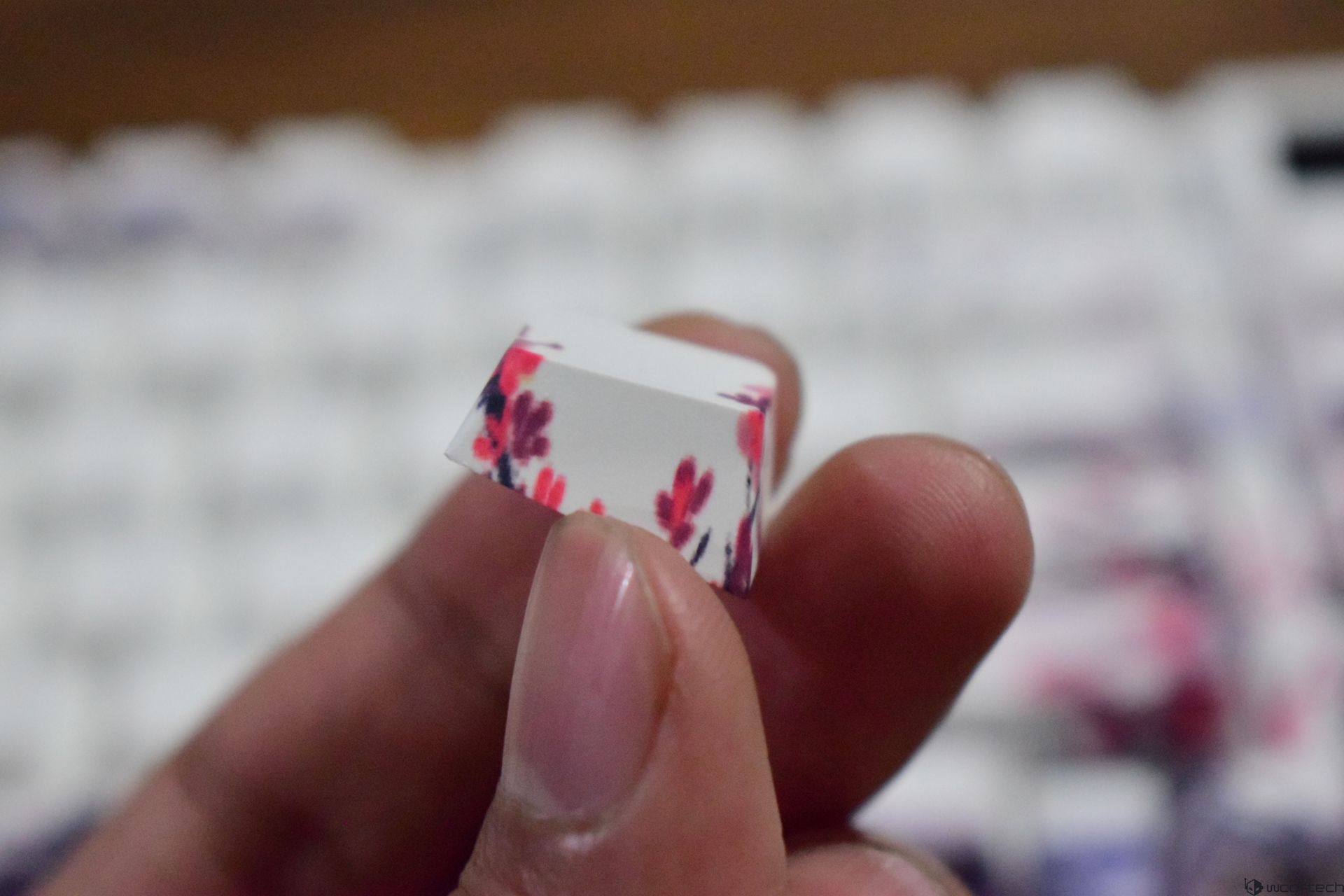 Womier SK80 Pro: Огляд клавіатури, що вражає та дивує 12 Womier SK80 Pro: Огляд клавіатури, що вражає та дивує 12