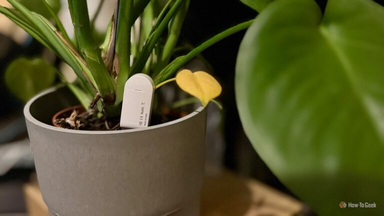 Вияви нові автоматизації Home Assistant: датчик вологості в несподіваному місці 1