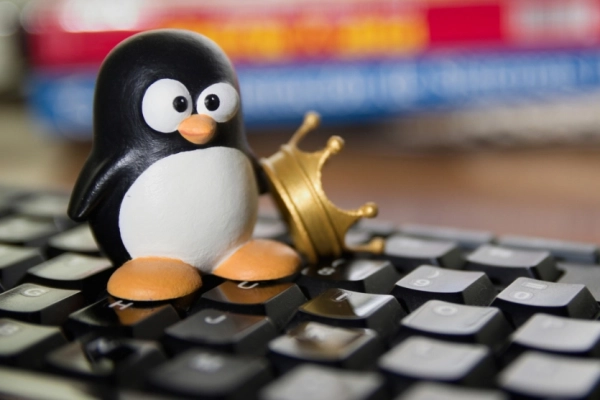 Linux-альтернатива Windows 11: 3.3 мільйона завантажень після оновлення