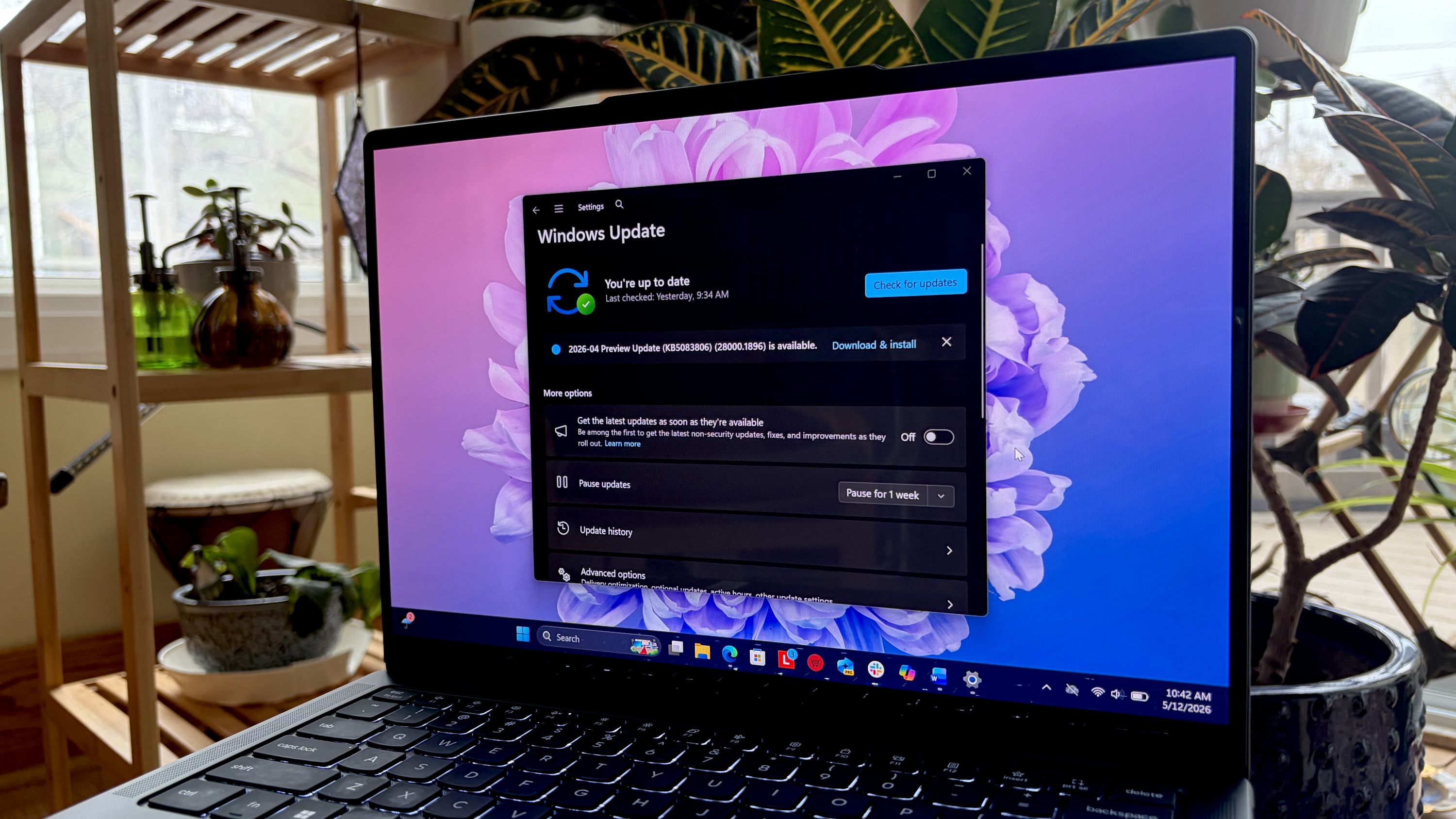Microsoft переосмислює Xbox та Windows 11, поки Surface збирає пил 8