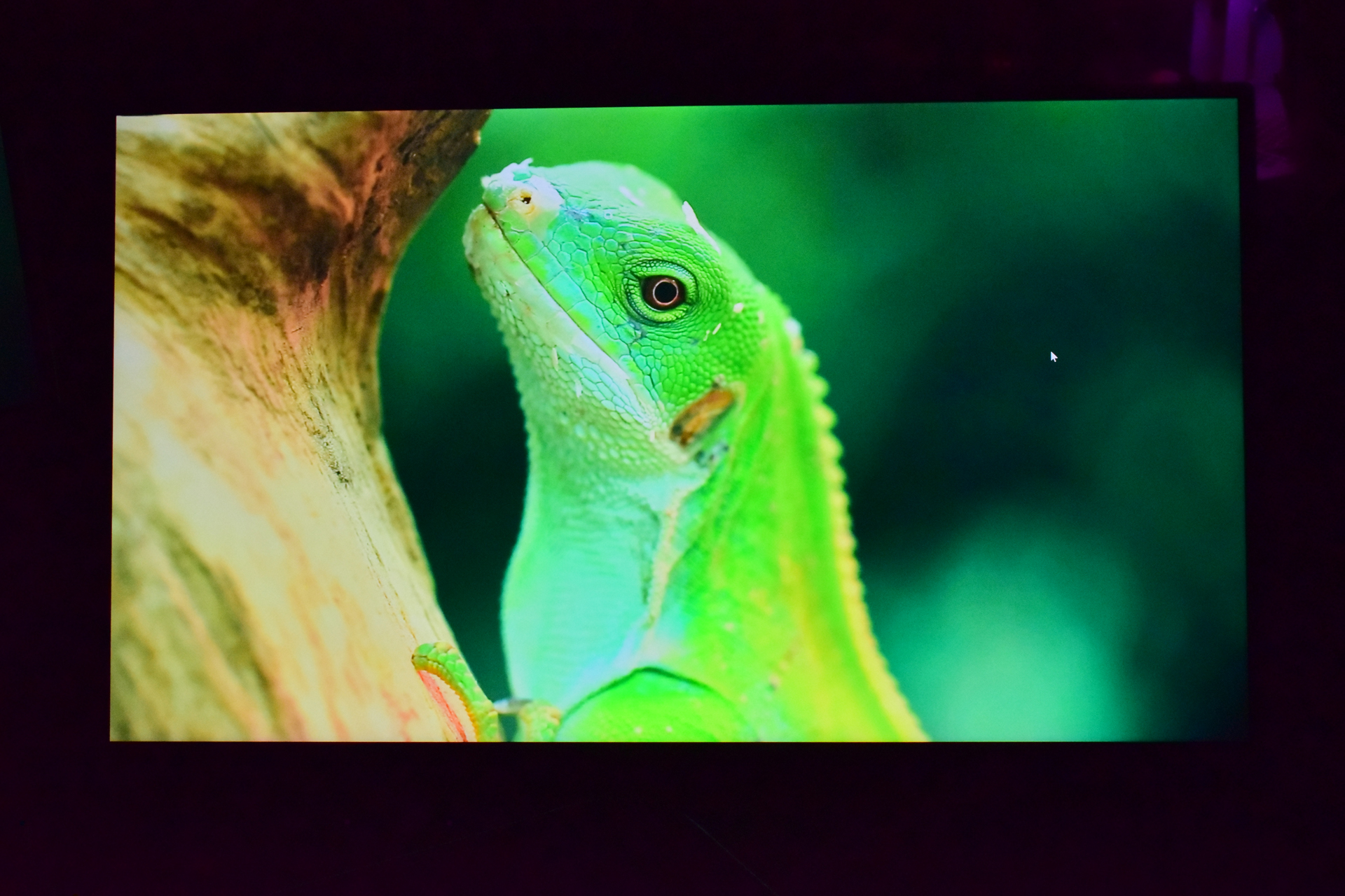 UPERFECT GR19BU 4K QLED: Огляд монітора з приголомшливою чіткістю та насиченістю кольорів 9