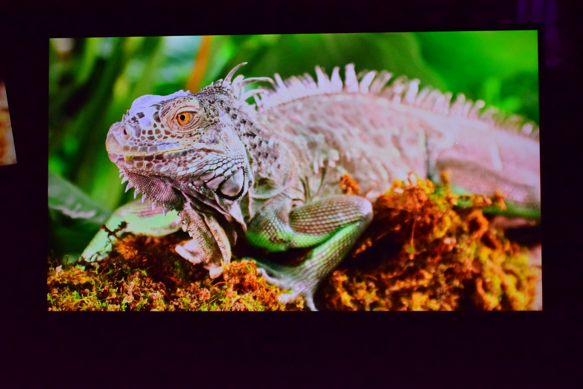 UPERFECT GR19BU 4K QLED: Огляд монітора з приголомшливою чіткістю та насиченістю кольорів 6