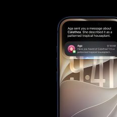 iPhone Fold: складний дизайн та дорогі компоненти змусять Apple випустити лише одну версію 7