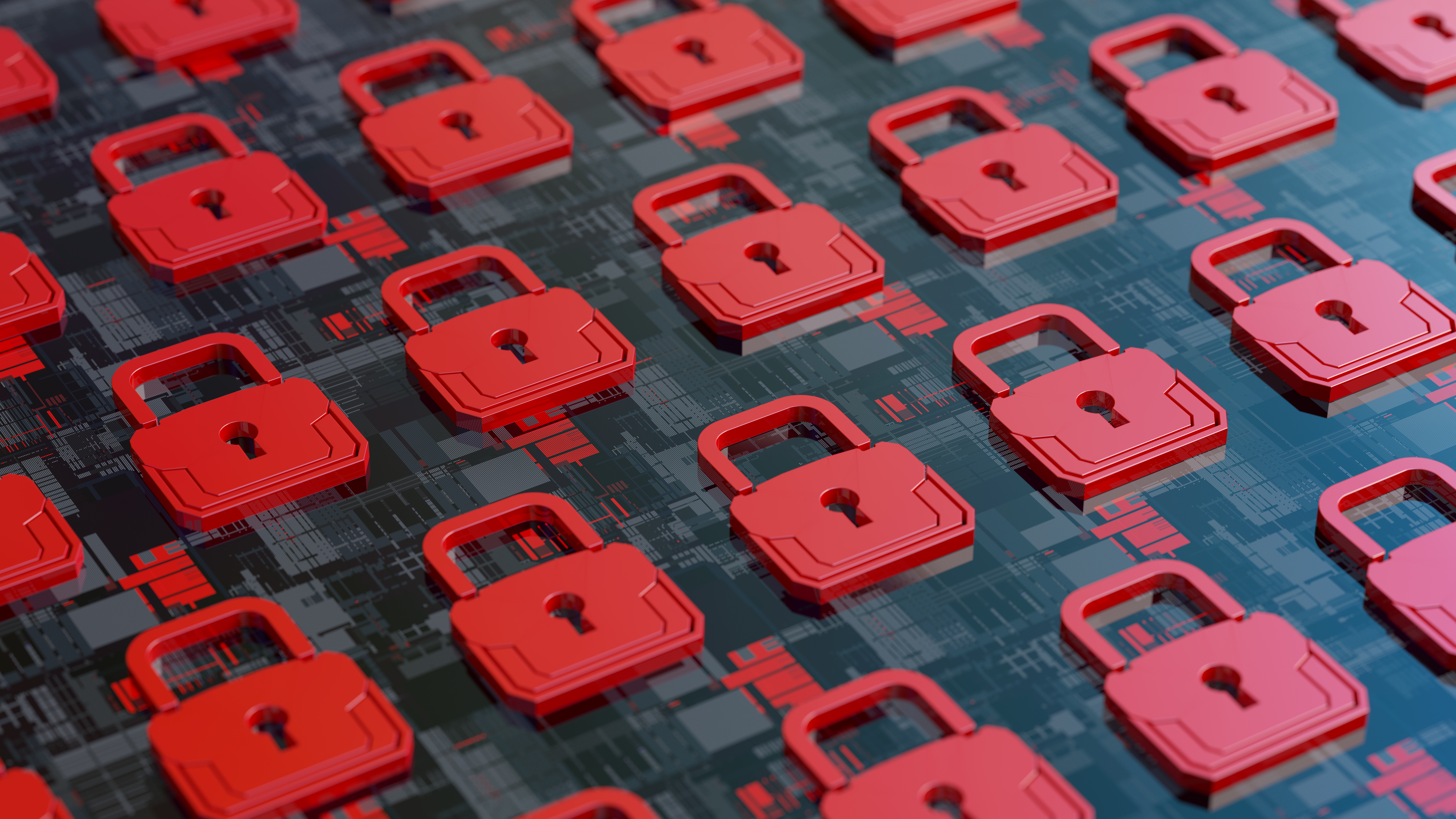 Cyera прагне оцінки у $12 млрд за 80x ARR, попри збитки 1
