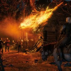The Witcher 3: Оживи RPG завдяки кооперативному режиму та синхронізації кат-сцен 7