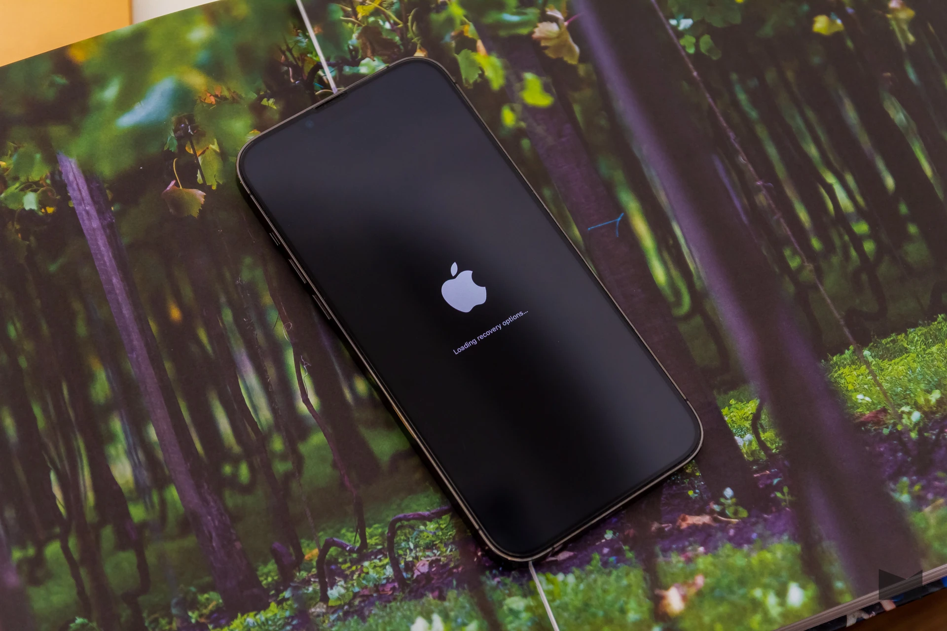 iOS 27: Нове дихання старих iPhone 28