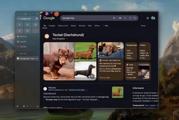 Браузерні війни вже не про пошук: найкращі альтернативи Chrome та Safari 15