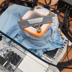 DDR4 повертається: як дефіцит DDR5 змушує оновлювати ПК та сервери 9
