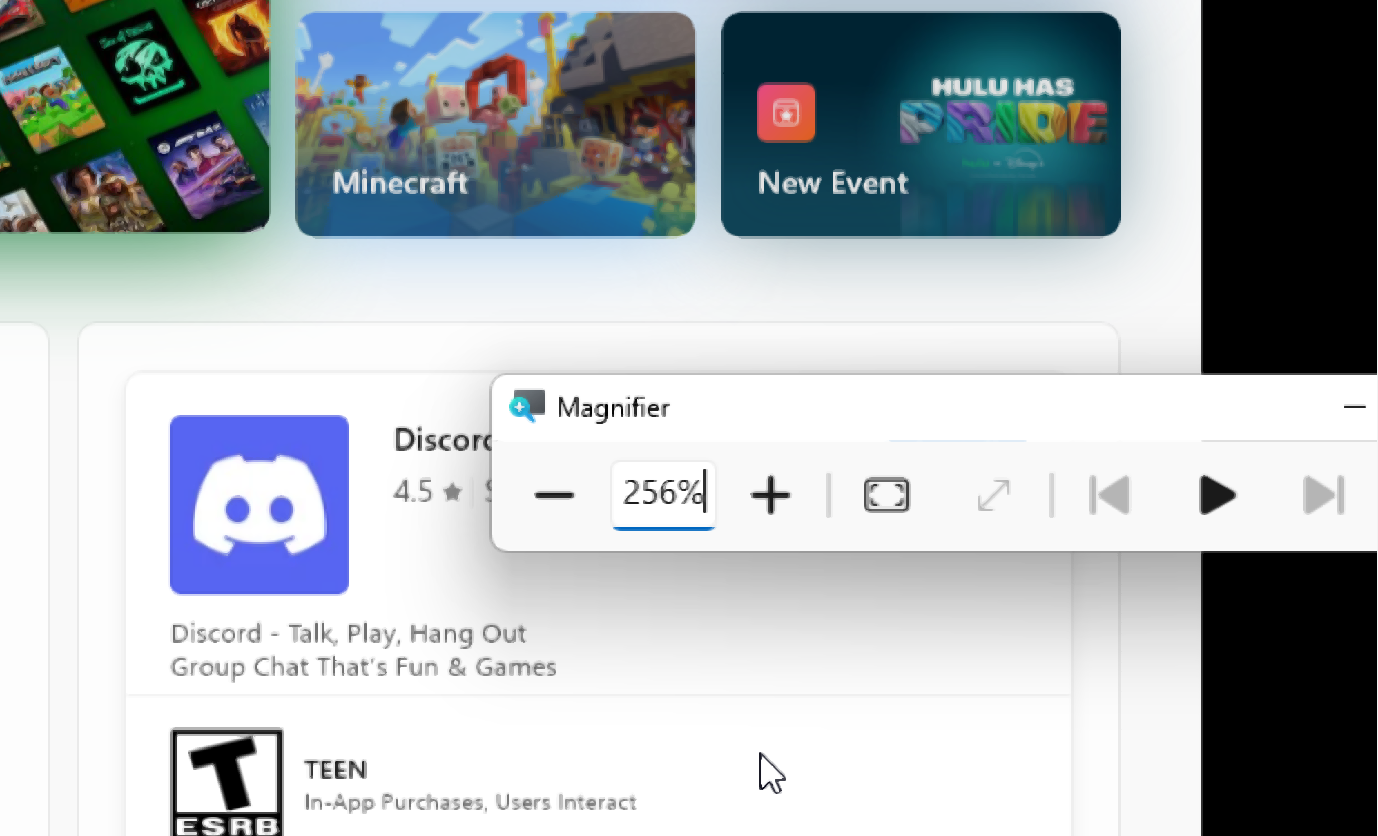 Magnifier custom zoom level
