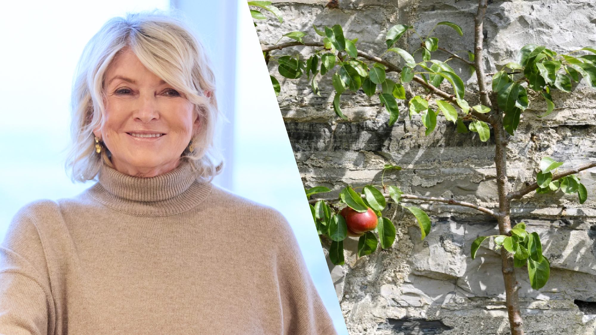 Садовий інструмент Martha Stewart розкупили за лічені дні — тепер він знову доступний 1