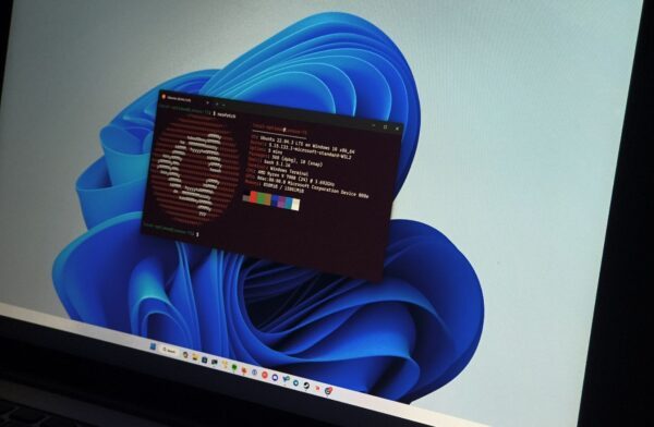 Ubuntu набирає обертів на Windows 11 швидше, ніж на нативних ПК з Linux