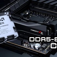 G.SKILL Trident Z5 Royal Neo на $3000: кіт забув про дорогу пам'ять на відпочинку 9