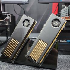 G.SKILL Trident Z5 Royal Neo на $3000: кіт забув про дорогу пам'ять на відпочинку 6