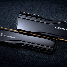 G.SKILL Trident Z5 Royal Neo на $3000: кіт забув про дорогу пам'ять на відпочинку 7