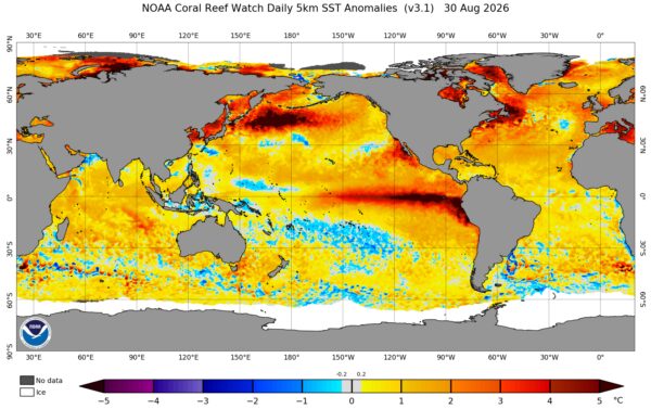 Дослідження: El Niño став найсильнішим за останнє тисячоліття