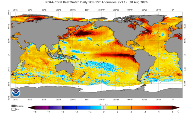 Дослідження: El Niño став найсильнішим за останнє тисячоліття 1