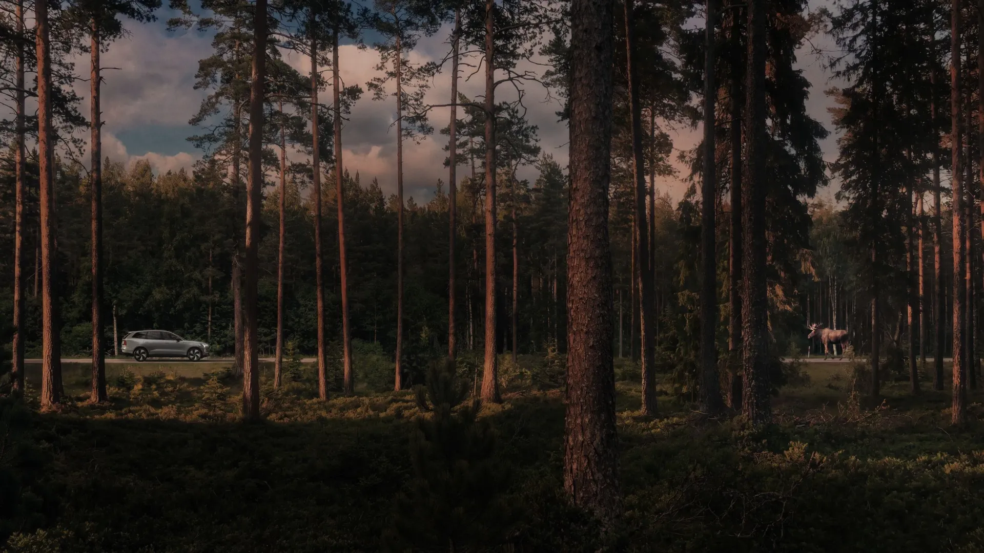 Volvo навчить автомобілі ділитися даними про дорожні небезпеки 4