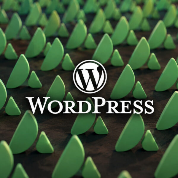 Критична вразливість у WordPress-темі Avada дозволяє віддалене виконання коду без взаємодії з користувачем
