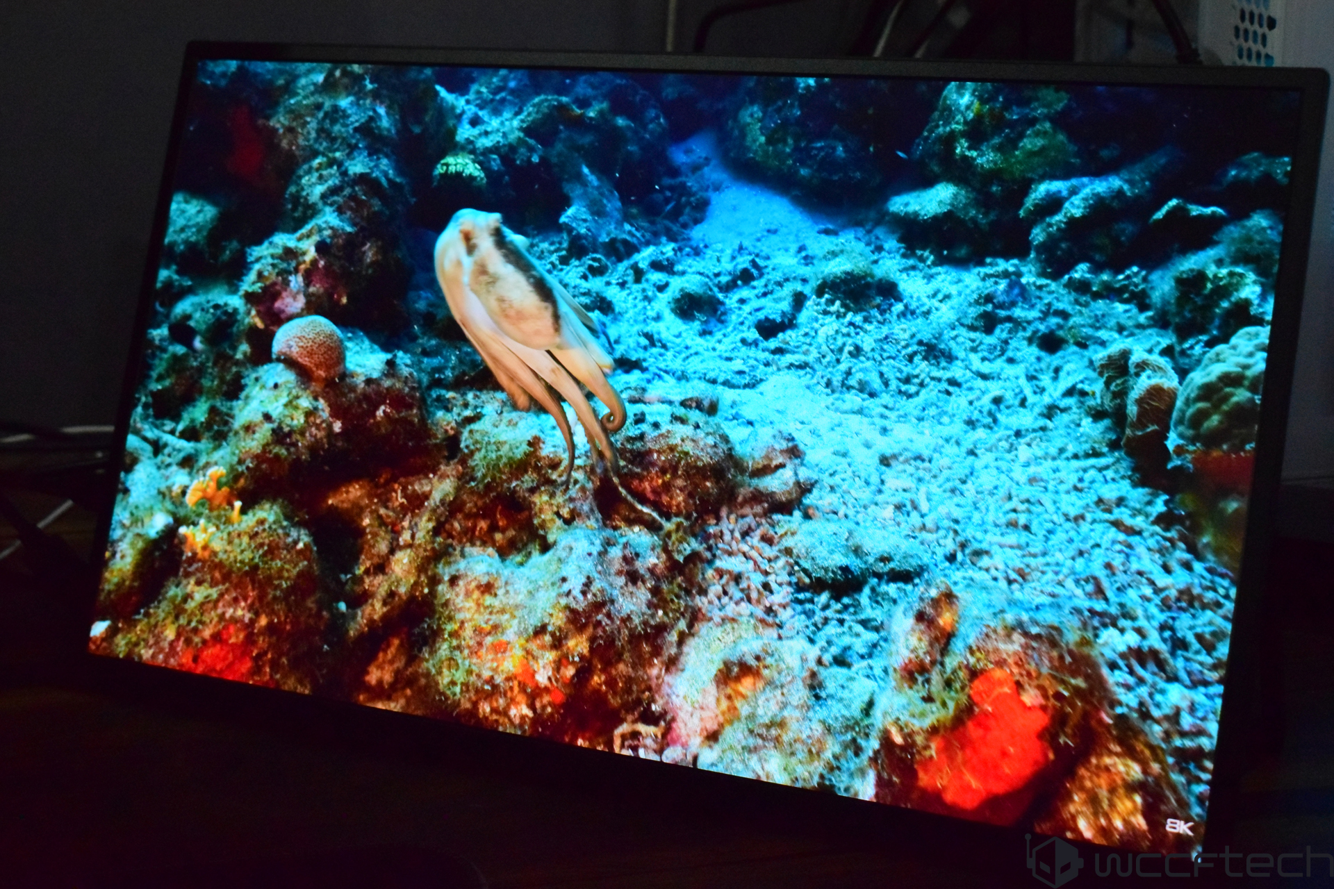Uperfect 18.5 дюймів 120 Гц NxtLED: портативний монітор для доступних ігрових рішень 11