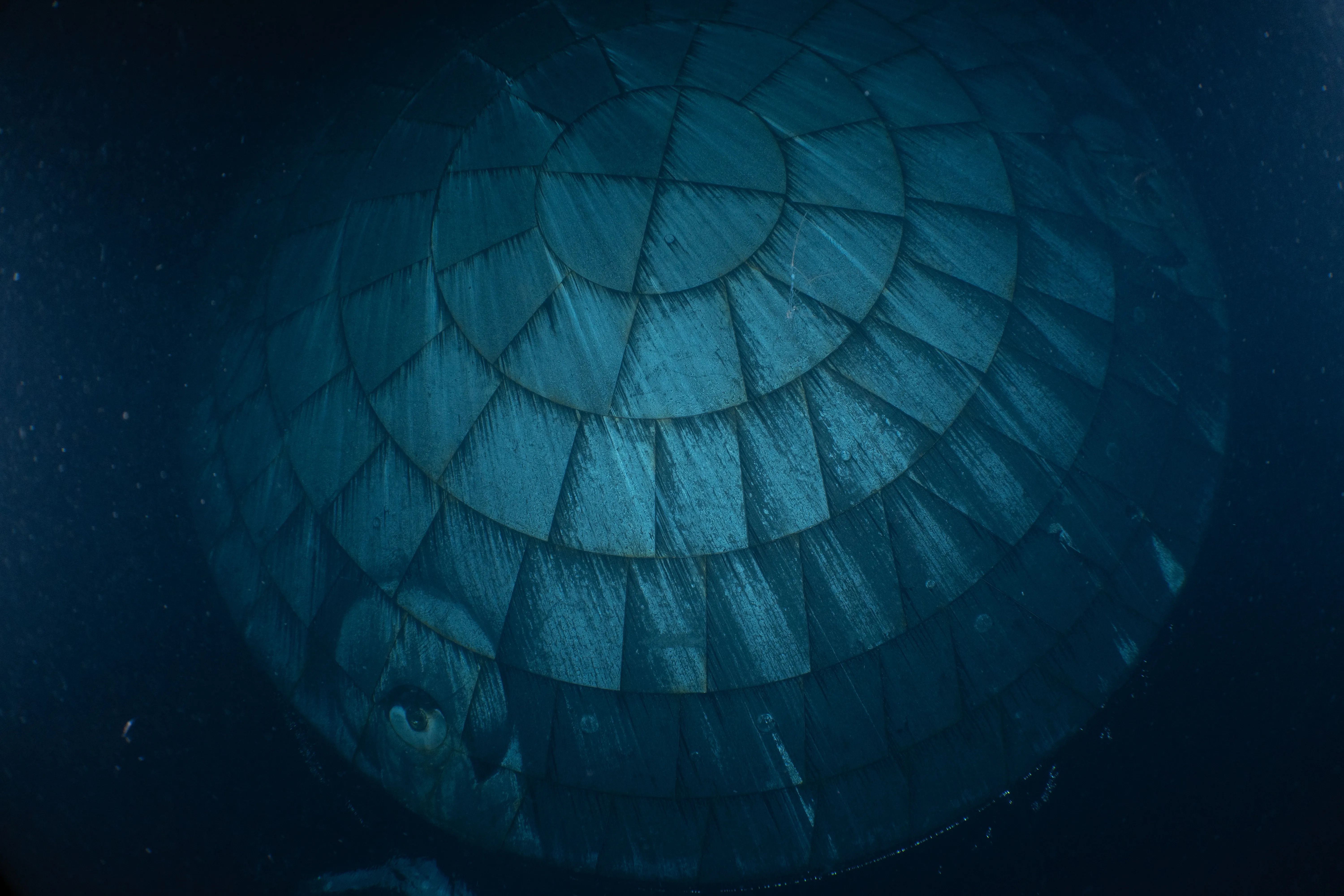 Щит Orion пройшов випробування в космосі з відмінним результатом 1