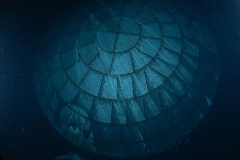 Щит Orion успішно витримав випробування теплом 19
