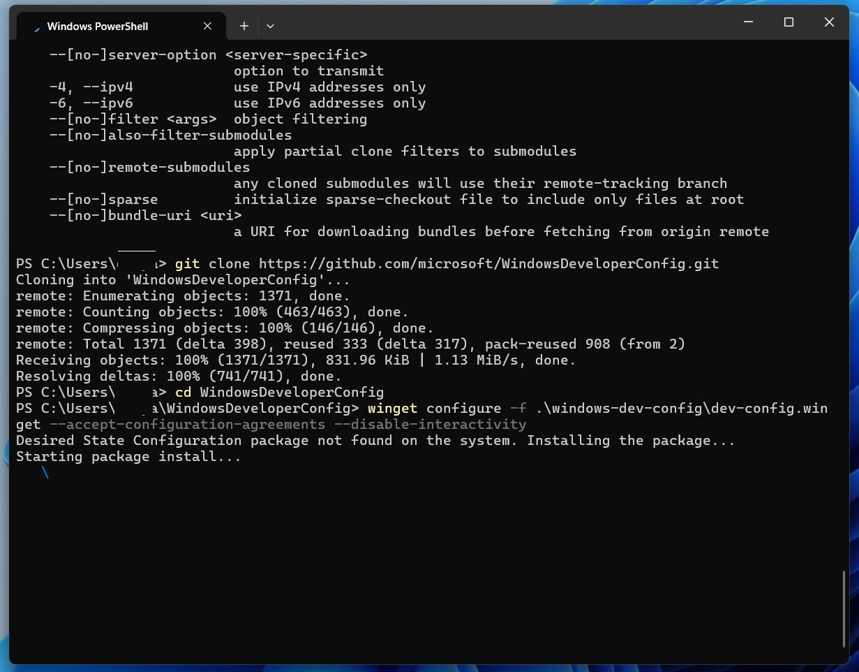 WindowsDeveloperConfig.git in Terminal