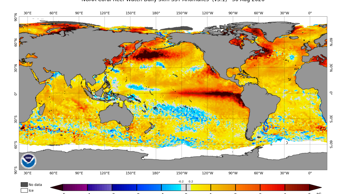 Дослідження: El Niño найсильніший за останню тисячу років 2