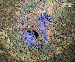 Російська атака на Одещину: що відомо про наслідки 5 Одеську область масовано атакувала росія