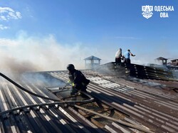 В Одеській області росіяни атакували курей