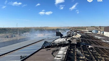 Росіяни знищили тисячі курей на птахофабриці на Одещині