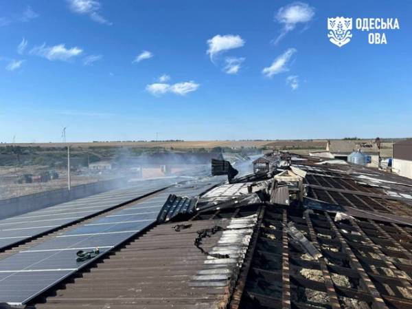 В Одеській області росіяни атакували курей