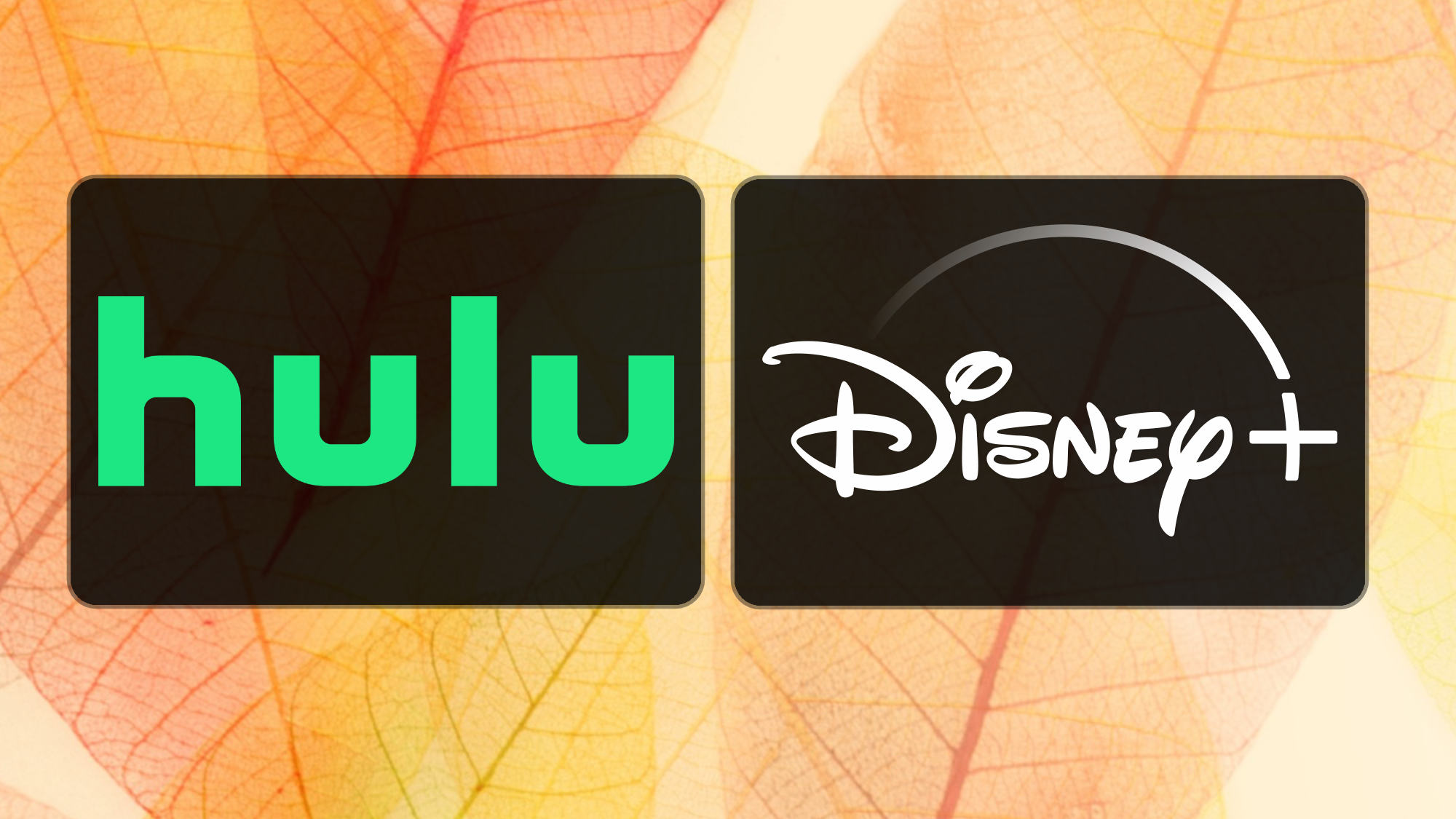 Новинки листопада 2026: Усі фільми та серіали, що з’являться на Hulu та Disney+ 1