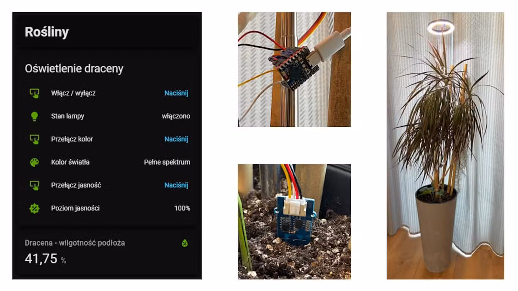 Три проєкти Home Assistant для порятунку ваших рослин 8