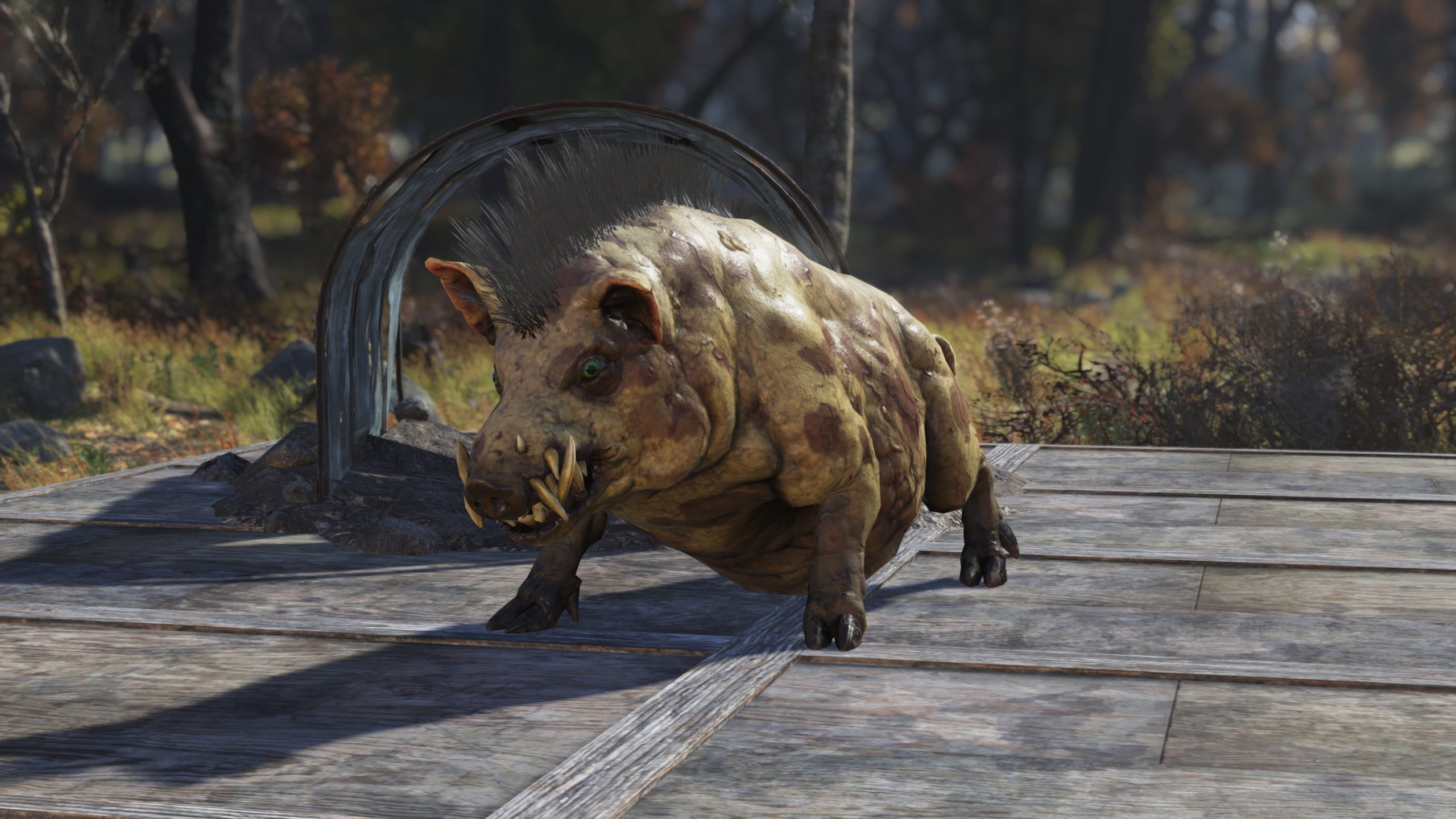 Fallout 76 розширить карту до Столичної Пустки з Fallout 3 до літа 2027 року 7 Fallout 76 розширить карту до Столичної Пустки з Fallout 3 до літа 2027 року 7